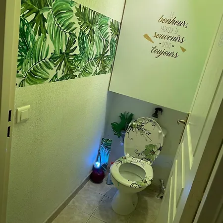 27m2 En Standing Piscine Nizza