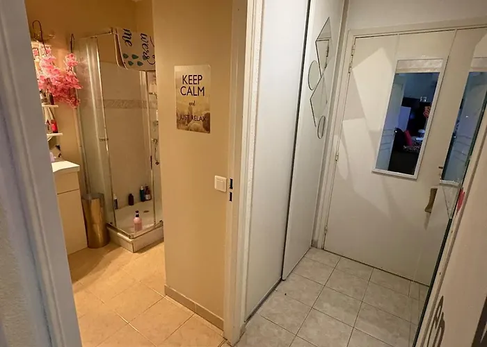 Apartment 27m2 En Standing Piscine Nizza